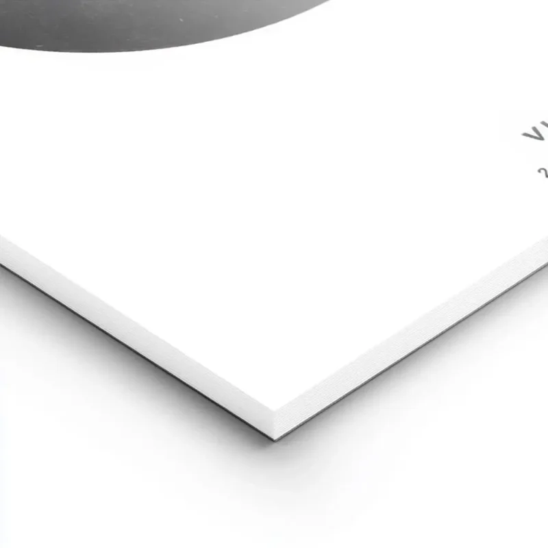 affiche avec la constellation de la vierge en blanc dans un cercle noir sur un f lightpanel.webp
