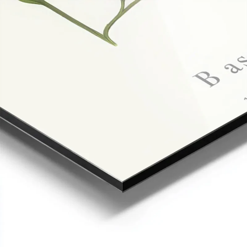 affiche avec la lettre b formee par une plante verte et du texte personnalisable aluminium.webp