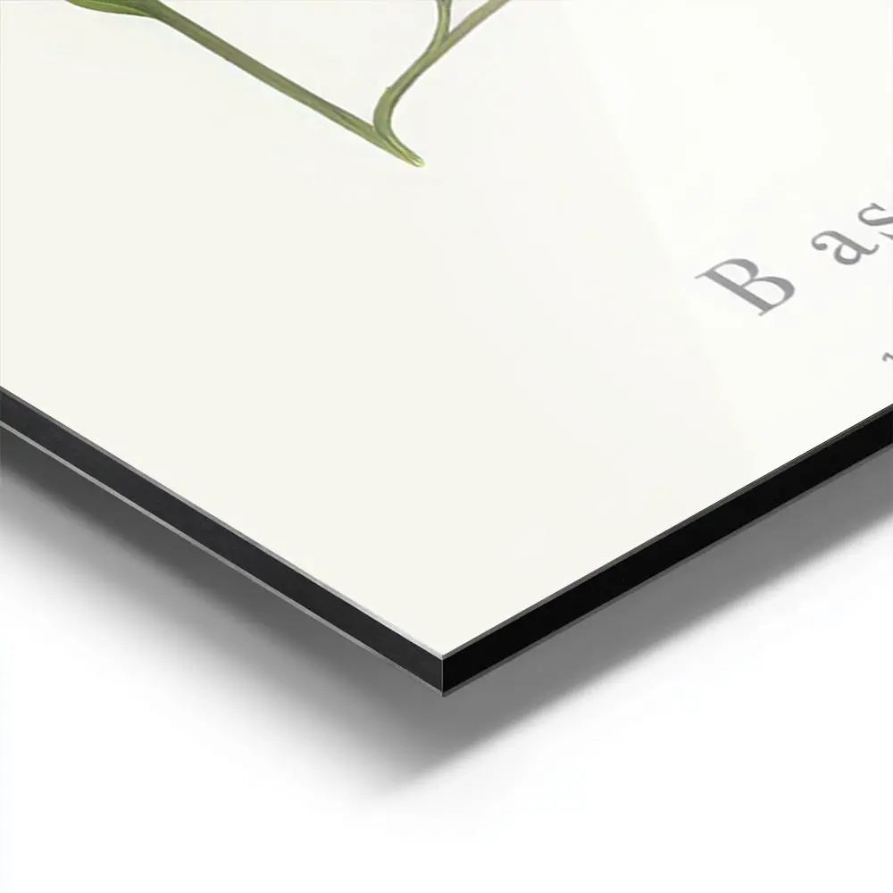 Image galerie 9