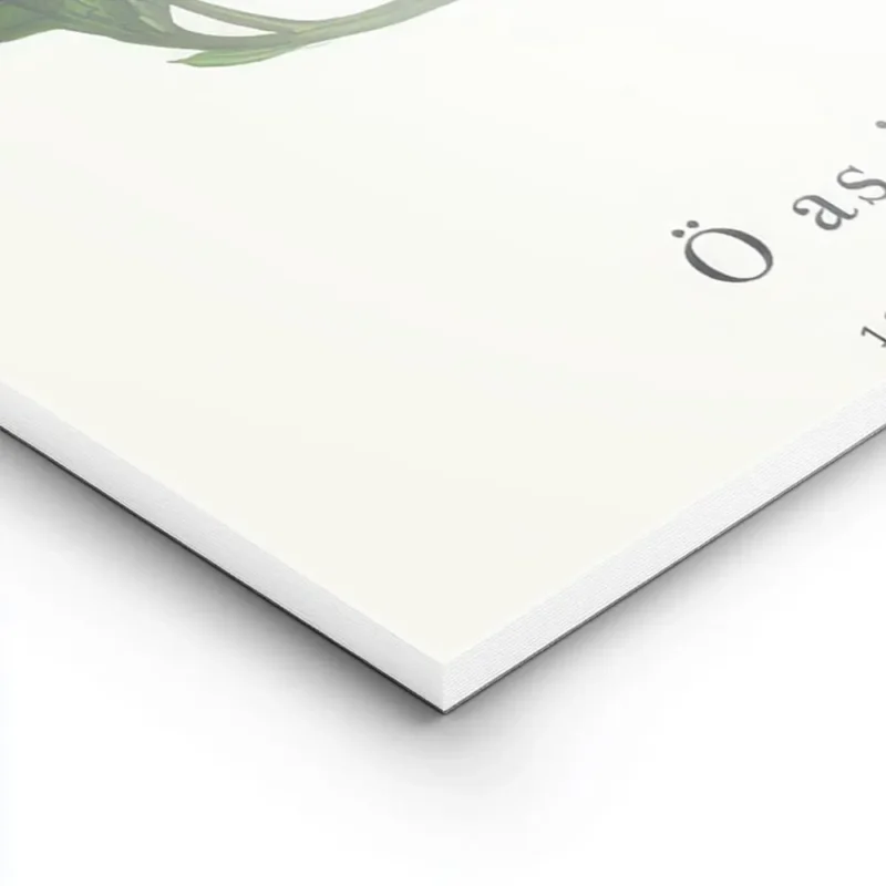 affiche avec la lettre o formee par des feuilles et des baies typographie noire lightpanel.webp