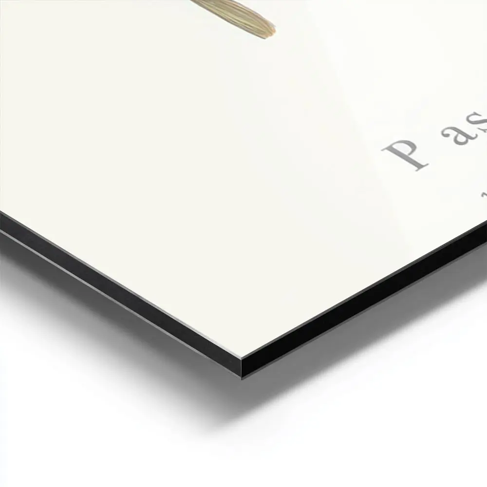 Image galerie 9