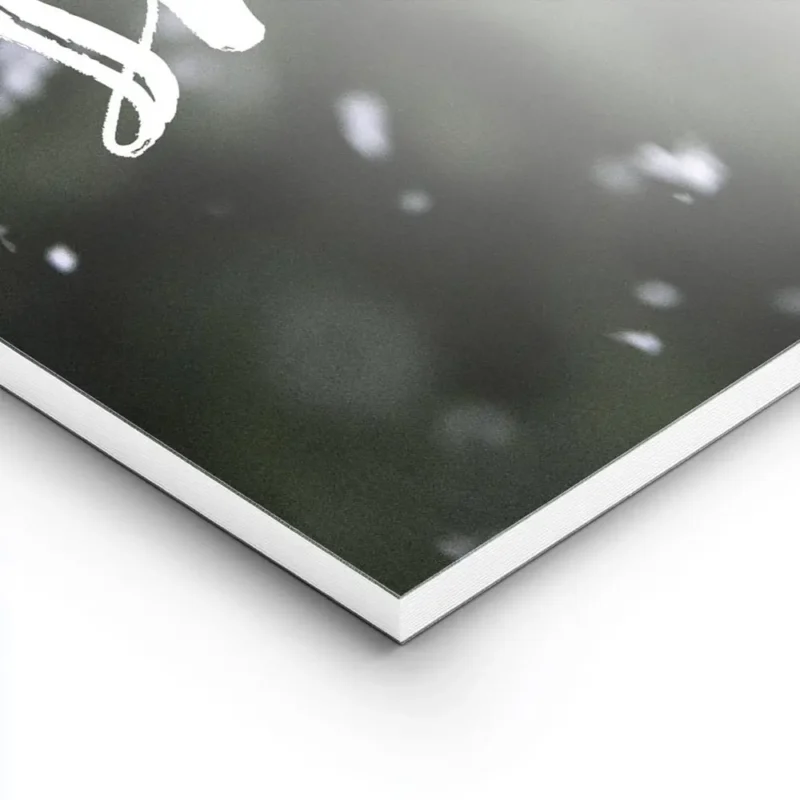 affiche avec le texte let it snow en typographie blanche manuscrite sur un fond lightpanel.webp
