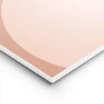 affiche avec lune rose pale et ciel rose des oiseaux noirs volent sur fond clair lightpanel 1.webp