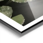affiche avec photographie de nenuphars blancs et de feuilles vertes flottant sur aluminium.webp