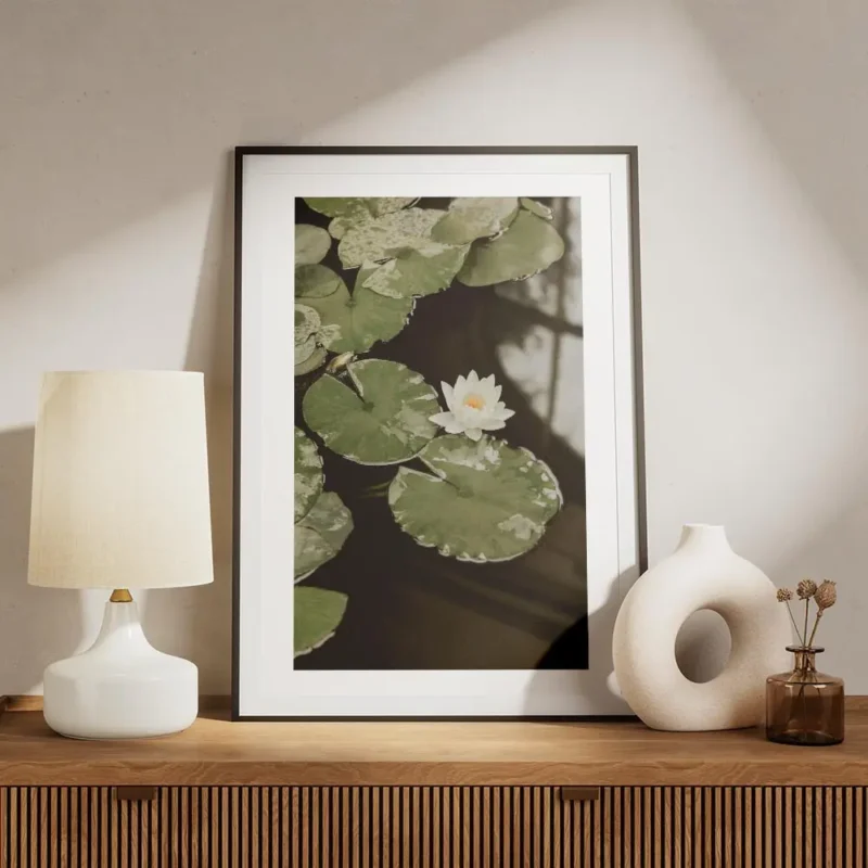 affiche avec photographie de nenuphars blancs et de feuilles vertes flottant sur meuble.webp