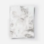 affiche avec photographie de plumes blanches et le texte dream en typographie au.webp