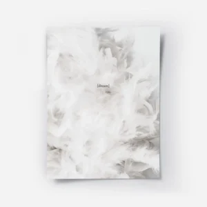 affiche avec photographie de plumes blanches et le texte dream en typographie au.webp