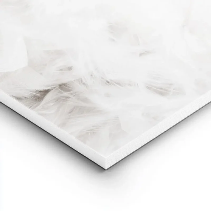 affiche avec photographie de plumes blanches et le texte dream en typographie au lightpanel.webp