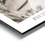 affiche avec photographie dolives vertes sur des branches dolivier sur un fond e aluminium.webp