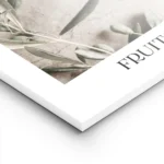 affiche avec photographie dolives vertes sur des branches dolivier sur un fond e lightpanel.webp