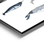 affiche avec six illustrations de baleines peintes a la main dont la baleine ble aluminium.webp
