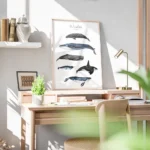 affiche avec six illustrations de baleines peintes a la main dont la baleine ble bureau.webp