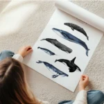 affiche avec six illustrations de baleines peintes a la main dont la baleine ble en rouleau.webp