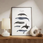 affiche avec six illustrations de baleines peintes a la main dont la baleine ble meuble.webp