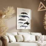 affiche avec six illustrations de baleines peintes a la main dont la baleine ble salon.webp