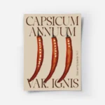 affiche avec trois piments rouges coupes en deux et leurs graines sur fond beige.webp