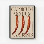 affiche avec trois piments rouges coupes en deux et leurs graines sur fond beige avec cadre.webp