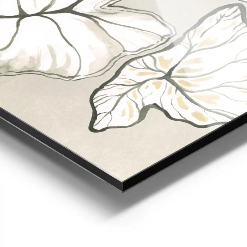 affiche avec un dessin de feuilles tropicales blanches et vertes sur fond beige aluminium.webp