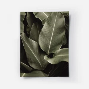 affiche avec un gros plan de feuilles tropicales vert fonce aux nervures proemin.webp
