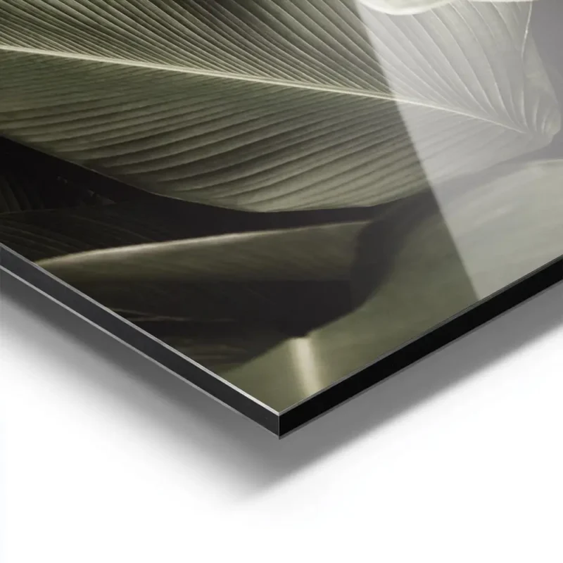 affiche avec un gros plan de feuilles tropicales vert fonce aux nervures proemin aluminium.webp