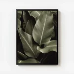 affiche avec un gros plan de feuilles tropicales vert fonce aux nervures proemin avec cadre.webp