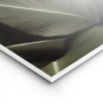 affiche avec un gros plan de feuilles tropicales vert fonce aux nervures proemin lightpanel.webp