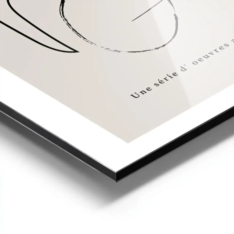 affiche avec un visage abstrait une main et une feuille dessines en noir et blan aluminium.webp