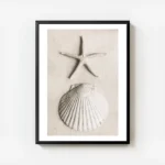 affiche avec une etoile de mer et un coquillage blanc sur du sable pale avec cadre.webp