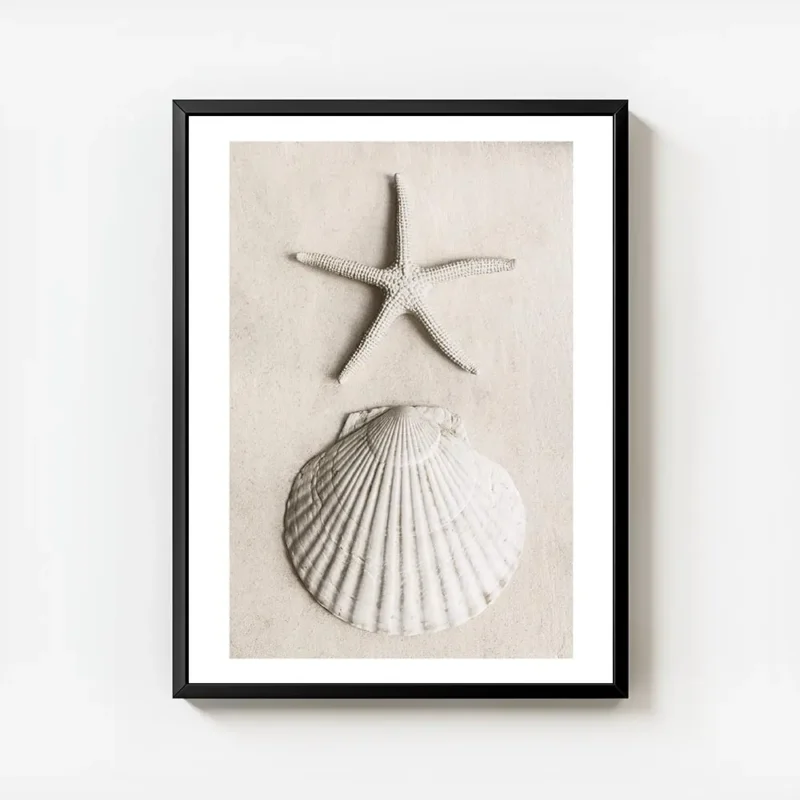 affiche avec une etoile de mer et un coquillage blanc sur du sable pale avec cadre.webp