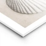 affiche avec une etoile de mer et un coquillage blanc sur du sable pale lightpanel.webp