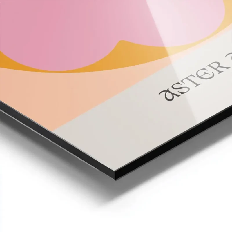 affiche avec une fleur marguerite rose et orange a la typographie the daisy et a aluminium.webp