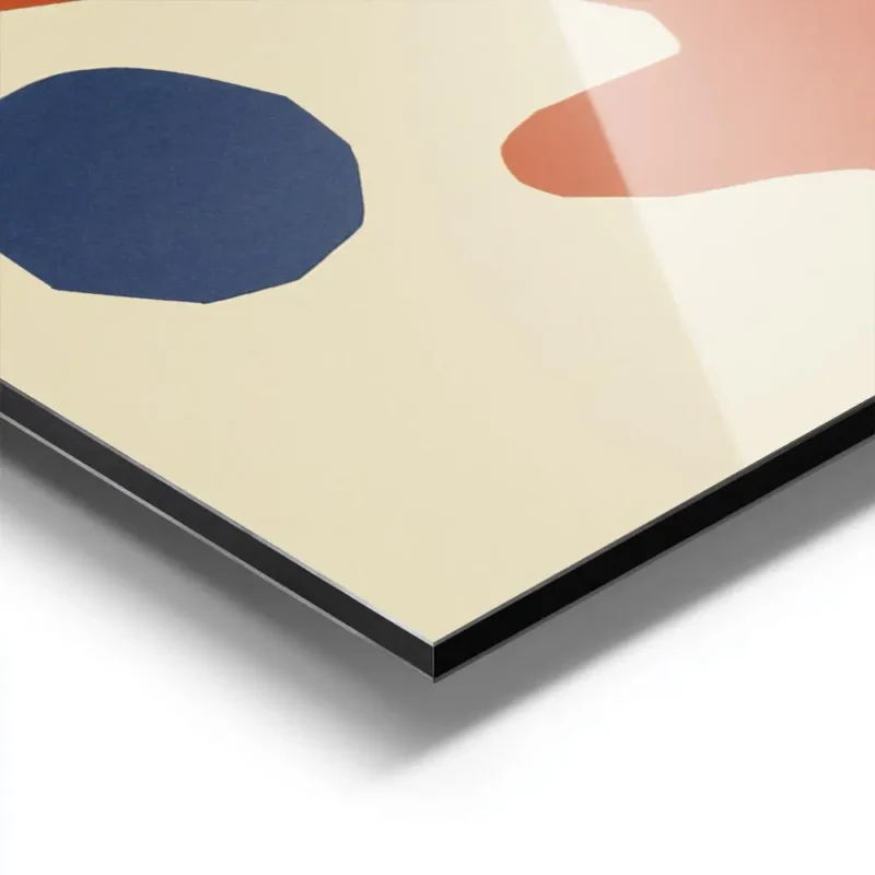 affiche avec une forme corallienne orange et un cercle bleu abstrait sur fond be aluminium.webp