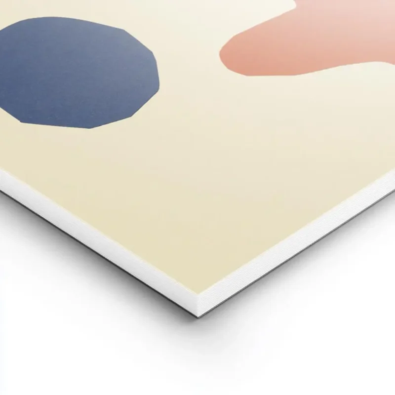 affiche avec une forme corallienne orange et un cercle bleu abstrait sur fond be lightpanel.webp