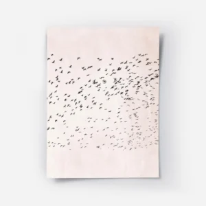 affiche avec une nuee doiseaux noirs en vol sur un fond rose texture illustratio.webp