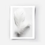 affiche avec une plume blanche duveteuse et legere posee sur un fond blanc pour .webp