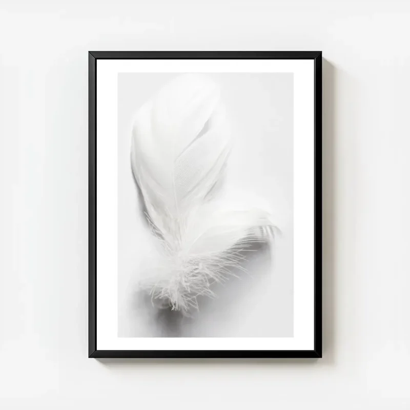 affiche avec une plume blanche duveteuse et legere posee sur un fond blanc pour avec cadre.webp