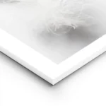 affiche avec une plume blanche duveteuse et legere posee sur un fond blanc pour lightpanel.webp