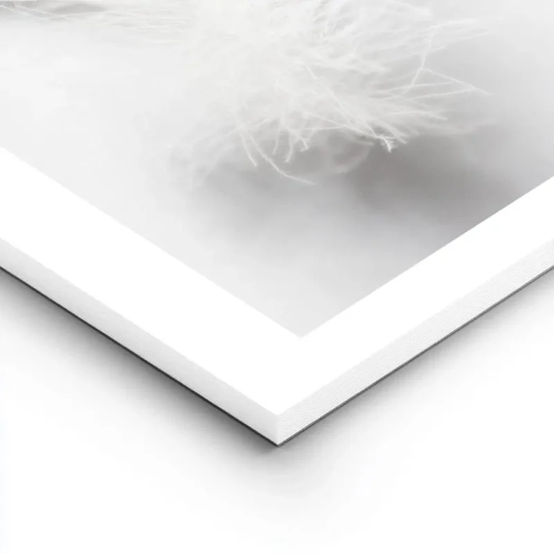 affiche avec une plume blanche duveteuse et legere posee sur un fond blanc pour lightpanel.webp