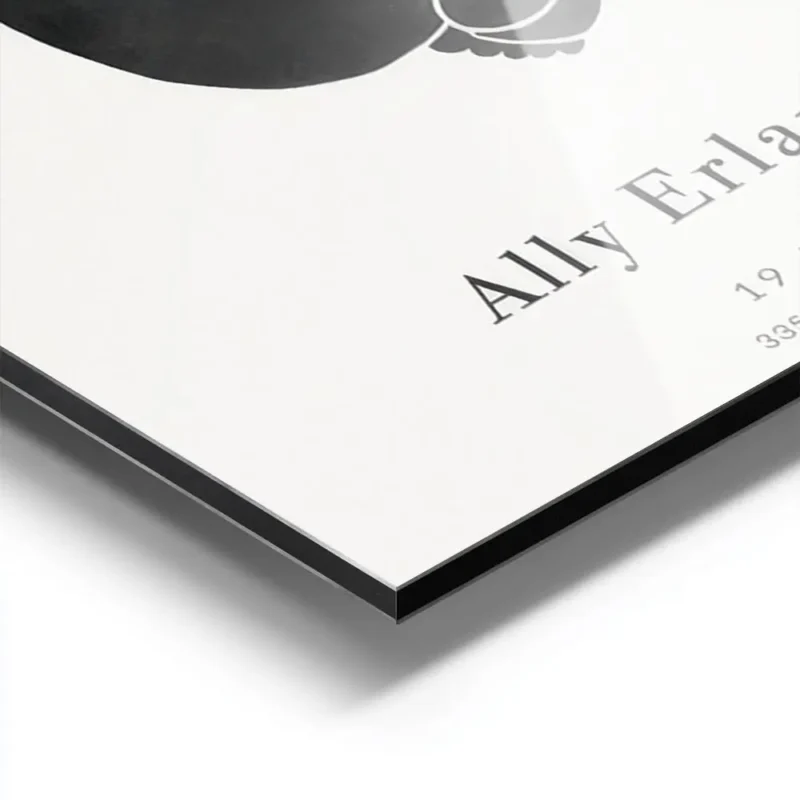 affiche bebe noire personnalisee sur fond gris clair avec typographie du nom et aluminium.webp