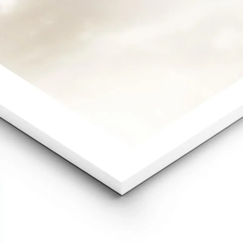 affiche beige de la creation dadam de michel ange mains se touchant avec typogra lightpanel.webp