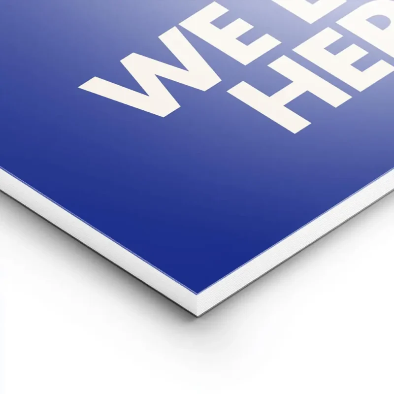 affiche bleue avec le texte embrace the chaos et we live here en blanc casse sty lightpanel.webp