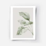 affiche botanique aquarelle de grandes feuilles vertes sur fond beige clair.webp