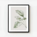 affiche botanique aquarelle de grandes feuilles vertes sur fond beige clair avec cadre.webp