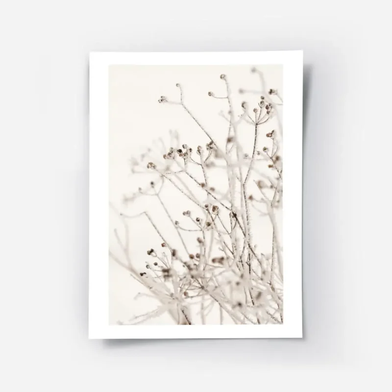 affiche botanique avec des branches givrees et de petits bourgeons sur un fond b.webp