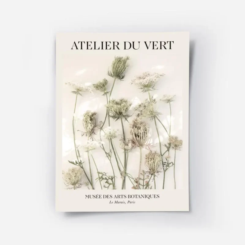 affiche botanique avec des fleurs de carotte sauvage aux teintes pastel sur fond.webp