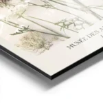 affiche botanique avec des fleurs de carotte sauvage aux teintes pastel sur fond aluminium.webp