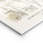affiche botanique avec des fleurs de carotte sauvage aux teintes pastel sur fond lightpanel.webp