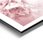 affiche botanique avec des fleurs roses en pleine floraison creant un motif deli aluminium.webp