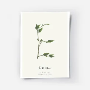 affiche botanique avec la lettre e formee par des branches et feuilles vertes ty.webp