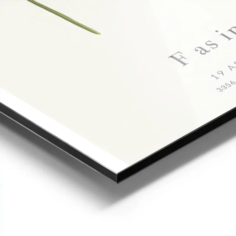 affiche botanique avec la lettre f formee par une plante et du texte personnalis aluminium.webp